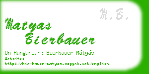 matyas bierbauer business card